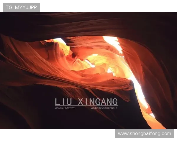 台北电影节：光影交织的城市叙事，一场不容错过的视听盛宴