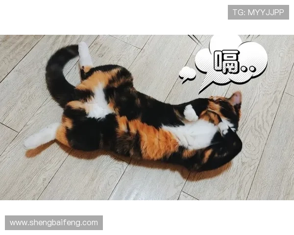 “就是色”——一场无关风月，直抵灵魂的感官盛宴