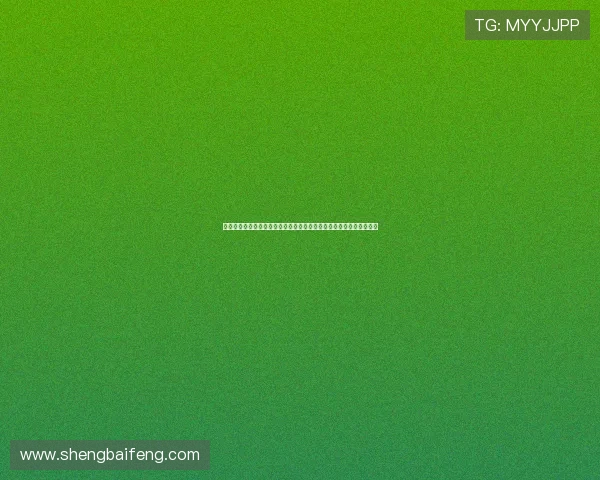 《彩云国物语：红之章节》——倾听凤仙花的低语，感受紫苑花的绽放