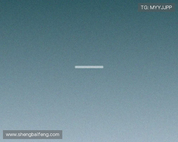 双面骑士：暗影中的守护者，光明下的征途